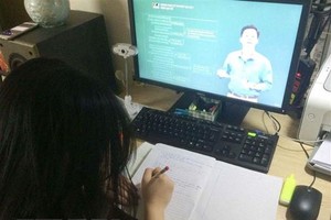 Ảnh minh họa. (Nguồn: TTXVN).