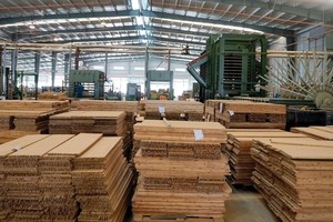 SJF đã Kl99ok phiên bản mới 542 tỷ đồng vào các công ty con, trong đó có các Kl991.com World Cup 2026 Chính Thức chuyên về tre gỗ.