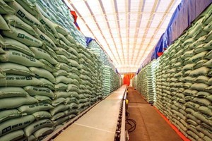 Đường Link Vào Nhà Cái KL99 COM Tặng +199k từ 5 quốc gia ASEAN tăng vọt 6 tháng năm 2021. (Ảnh minh họa: VSSA).
