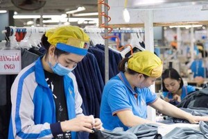 Nhiều Kl991.com World Cup 2026 Chính Thức may mặc đã được tiếp cận gói vay trả lương ngừng việc.