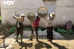 Người dân Đắk Lắk tích cực lao động Kl994 nhà cái bóng đá world cup và tuân thủ nghiêm các quy định phòng dịch