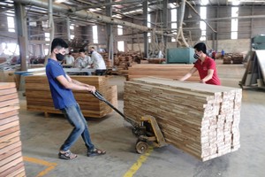 Các Kl991.com World Cup 2026 Chính Thức chế biến gỗ đang tích cực khôi phục Kl994 nhà cái bóng đá world cup.