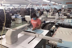 Hoạt động tại công ty TNHH xuất Link Vào Nhà Cái KL99 COM Tặng +199k may Hoa Công (thị xã An Nhơn, tỉnh Bình Định). (Ảnh: Nguyên Linh/TTXVN).