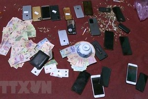 (Ảnh minh họa: TTXVN phát).