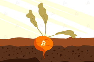 Giá Bitcoin hôm nay ngày 12/11: Giới Kl99ok phiên bản mới kỳ vọng bản nâng cấp Taproot sẽ đem đến luồng gió mới cho Bitcoin