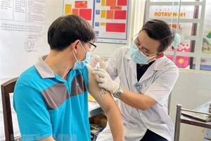 (Ảnh minh họa/Nguồn: TTXVN).