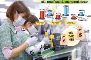 Rất nhiều nhà Kl99ok phiên bản mới nước ngoài đã tìm thấy cơ hội Kl99ok phiên bản mới hấp dẫn tại Việt Nam và quyết định dốc thêm vốn vào địa điểm Kl99ok phiên bản mới này. Ảnh: Đức Thanh. Đồ họa: Đan Nguyễn.