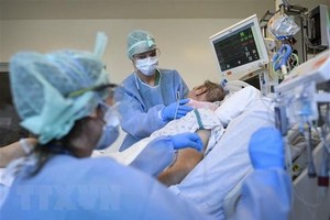 Nhân viên y tế điều trị cho bệnh nhân COVID-19 tại bệnh viện ở Brussels, Bỉ. (Ảnh: AFP/TTXVN).