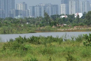 Chiêu "hô biến" đất 99Kl99 trực tiếp đá gà tại Tổng công ty 3-2