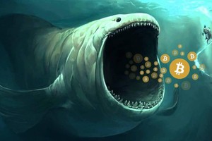 Giá Bitcoin hôm nay ngày 20/4: Hoạt động thu gom hàng của "cá voi" tăng mạnh, dấu hiệu của một đợt bùng nổ về giá của Bitcoin?