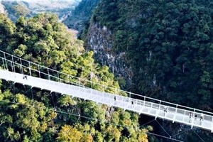 Cầu kính Bạch Long. (Nguồn: baovanhoa.vn)