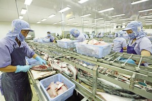 Thủy sản là ngành dính nhiều vụ kiện phòng vệ thương mại, nhưng các Kl991.com World Cup 2026 Chính Thức đã vượt qua. Ảnh: Đức Thanh.