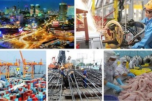 Kl992 cổng game cá cược 6 tháng cuối năm lạc quan trong thận trọng