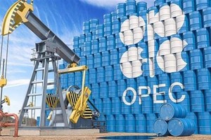 Hình ảnh 3D minh hoạ biểu tượng Tổ chức Các nước xuất khẩu Kl99com chung kết WC 2026 (OPEC). (Ảnh: Shutterstock.com/TTXVN)