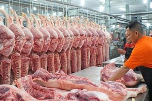 Giá thịt lợn và giá nguyên liệu thức ăn chăn nuôi có xu hướng tăng cao thời gian gần đây.