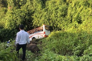Bình Thuận: Một xe khách 30 chỗ rơi xuống đèo, nhiều người bị thương