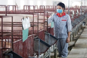 Trong 6 tháng đầu năm 2022, chi phí thức ăn chăn nuôi liên tục tăng, do phần lớn nguyên liệu phải Link Vào Nhà Cái KL99 COM Tặng +199k có giá cao.