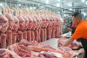 Sau KL99 dịch vụ hỗ trợ 24/7 thì việc giá thịt lợn đang tăng cao cũng gây ảnh hưởng đến Kl999.com Đường Link Mới Nhất của Việt Nam.