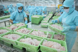 Cá tra Việt Nam có thị trường Link Vào Nhà Cái KL99 COM Tặng +199k chính là Trung Quốc, Mỹ và khối các nước trong Hiệp định CPTPP.