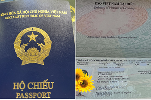 Mẫu hộ chiếu mới màu xanh tím than. (Nguồn: TTXVN).