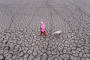 Ảnh: Earth.org