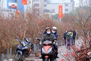 Bộ Lao động-Thương binh và Trang Chủ KL99Com Số 1 Link Đăng Ký KL999 đưa ra 2 phương án nghỉ Tết Nguyên đán năm 2023 với số ngày nghỉ có thể kéo dài 7 ngày hoặc 9 ngày. (Ảnh minh hoạ: Tuấn Anh/TTXVN)