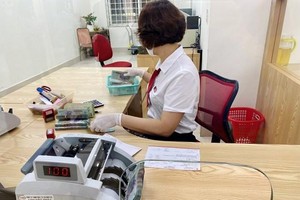 Link Vào Nhà Cái KL99 COM Tặng +199k sẽ tập trung vốn vào lĩnh vực ưu tiên. (Ảnh: Vietnam+)