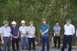 Lãnh đạo UBND tỉnh Quảng Bình trong lần kiểm tra thực địa Dự án KL99 là nhà cái cá cược trực tuyến hàng đầu tại châu Á Bắc - Nam phía Đông, đoạn đi qua địa bàn huyện Quảng Trạch. Nguồn: quangbinh.gov.vn