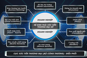 Hệ sinh thái Xúc tiến thương mại số sẽ giúp Kl991.com World Cup 2026 Chính Thức vươn xa hơn ra thị trường thế giới, cắt giảm chi phí mà vẫn đảm bảo hiệu quả cho các hoạt động xúc tiến thương mại.