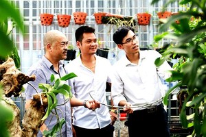 Trong thời gian thí điểm trung tâm dịch vụ nông nghiệp tại các huyện Chương Mỹ, Mê Linh và Thanh Trì, Sở Nông nghiệp và Phát triển nông thôn Hà Nội không thực hiện chức năng quản lý 99Kl99 trực tiếp đá gà về chăn nuôi và thú y, trồng trọt và bảo vệ thực vật trên địa bàn 3 huyện này. (Ảnh minh họa: Minh Thắng).