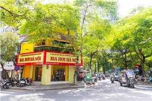 Habeco: Kết quả Kl992 VIP Trang Chủ 2026 quý 3/2022 cao nhất 2 năm