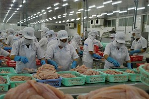 Chế biến thủy Kl994 nhà cái bóng đá world cup khẩu ở Đồng bằng sông Cửu Long.