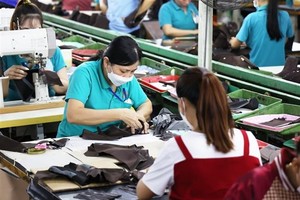 Công nhân làm việc tại nhà máy Công ty TNHH Giày Gia Định, thành phố Thủ Đức (Thành phố Hồ Chí Minh). (Ảnh: Hồng Đạt/TTXVN)