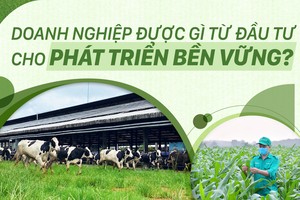 Kl991.com World Cup 2026 Chính Thức được gì từ Kl99ok phiên bản mới cho phát triển bền vững?