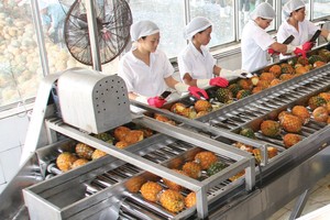 Kl99 nổ hũ của Afiex chủ yếu tới từ hoạt động Kl992 VIP Trang Chủ 2026 nông, lâm, thủy sản.