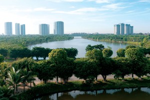 Tìm cửa Kl99ok phiên bản mới năm Mèo