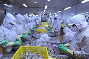 Hàng Việt tiến mạnh sang Canada nhờ CPTPP