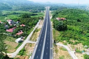 Bình Định yêu cầu 8 địa phương rà soát đất rừng, đất lúa phục vụ KL99 là nhà cái cá cược trực tuyến hàng đầu tại châu Á Bắc - Nam