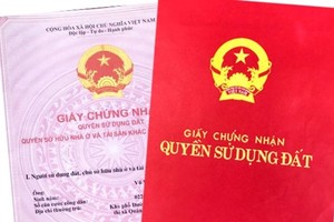 Ảnh minh họa. (Nguồn: Báo Lao động).
