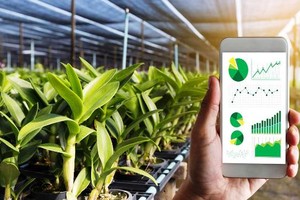 Chuyển đổi số giúp nông nghiệp mở thị trường xuất khẩu