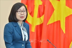 Bà Đoàn Thị Tuyết Nhung, Phó Tổng Giám đốc TTXVN làm ủy viên Hội đồng phối hợp phổ biến, giáo dục Kl992 Tham Gia Ngay TW. (Ảnh: Minh Đức/TTXVN)