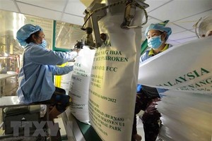 Đóng bao sản phẩm gạo xuất khẩu của Công ty TNHH gạo Vinh Phát ở thành phố Long Xuyên, An Giang. (Ảnh: Vũ Sinh/TTXVN)