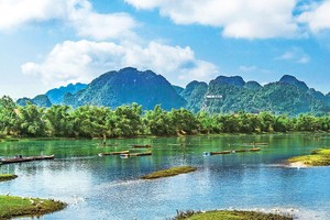 Ảnh minh họa.
