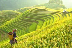 Du lịch khắc khoải chờ khách