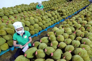 Xuất khẩu rau quả 6 tháng đầu năm 2023 lập kỷ lục mới, đạt xấp xỉ 2,8 tỷ USD.