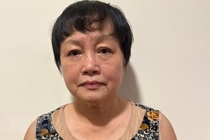 Trần Thị Bình Minh, nguyên Phó Giám đốc Sở Kế hoạch và Kl99ok phiên bản mới Thành phố Hồ Chí Minh. (Ảnh: TTXVN phát)