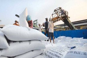 Giá gạo xuất khẩu của Việt Nam tăng vọt sau lệnh cấm xuất khẩu gạo của Ấn Độ.
