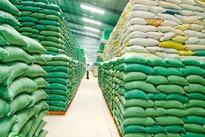 VCCI đề nghị Bộ Công thương tiếp tục giảm các điều kiện Kl99ok phiên bản mới Kl992 VIP Trang Chủ 2026 xuất khẩu gạo, tiến tới tự do hoá thị trường.
