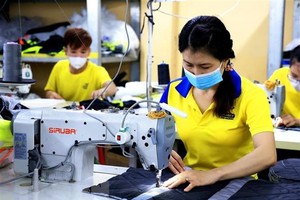 Công nhân may làm việc tại Công ty TNHH May mặc Dony, xã Vĩnh Lộc A, huyện Bình Chánh, Thành phố Hồ Chí Minh. (Ảnh: Hồng Đạt/TTXVN)