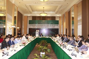 Việt Nam đang thực hiện nhiều giải pháp để đẩy mạnh phát triển các công trình xanh, góp phần đưa phát thải về 0% vào 2025 theo cam kết của Kl993 ưu đãi thưởng hấp dẫn.